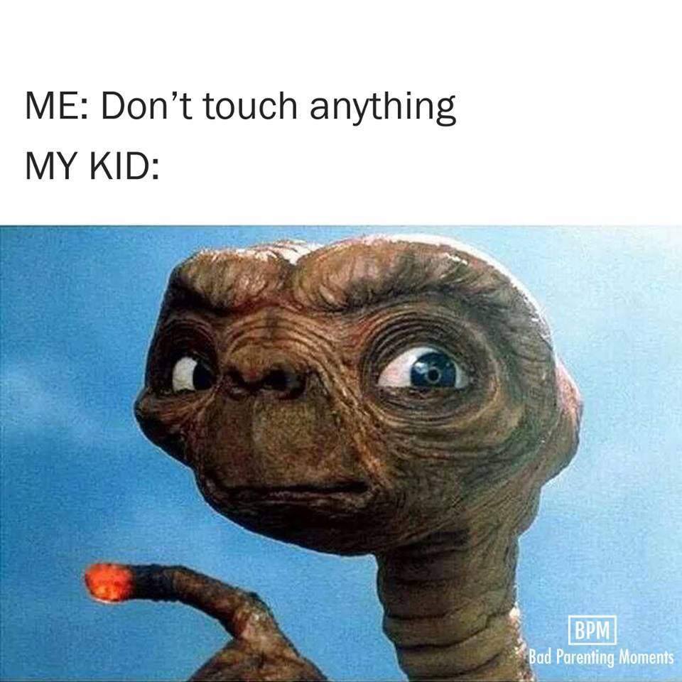 26169611_1622191131152871_5497233647568942183_n