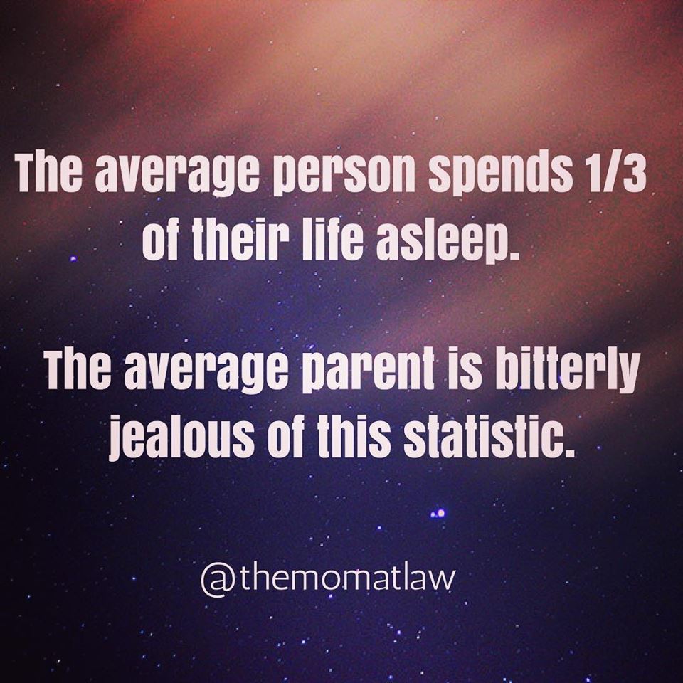 26219177_1497360930381507_8232253338503673839_n