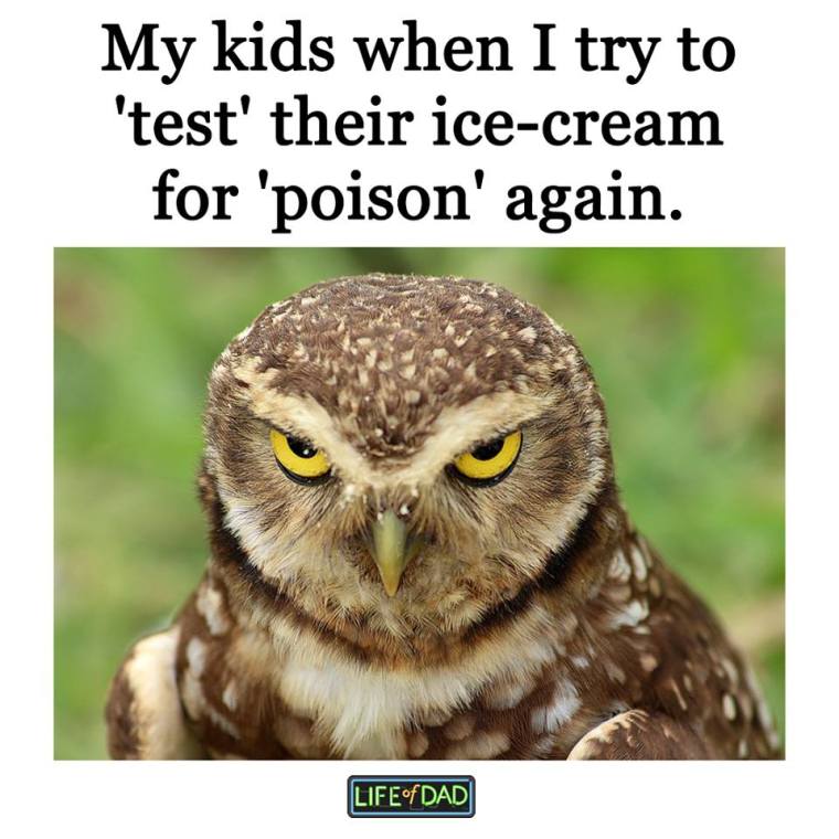 26733635_10155867919741427_510308405395897089_n